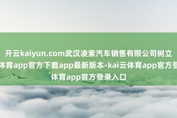 开云kaiyun.com武汉凌紫汽车销售有限公司树立-kai云体育app官方下载app最新版本-kai云体育app官方登录入口
