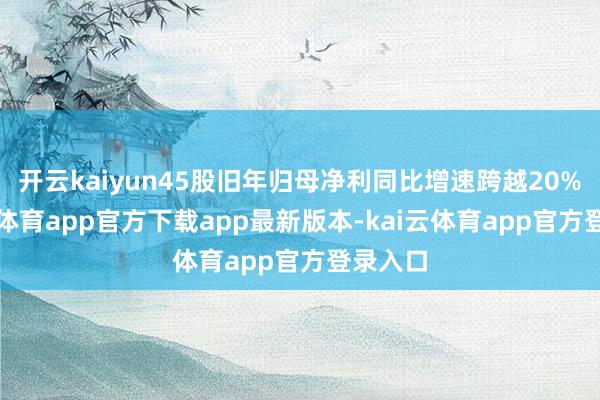 开云kaiyun45股旧年归母净利同比增速跨越20%-kai云体育app官方下载app最新版本-kai云体育app官方登录入口